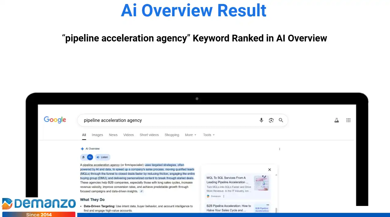 Demanzo Landing Page 2